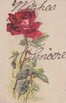 DIV - E. S. 145 Rose rouge dressée (v)