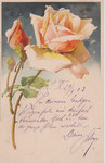 M&B 1181 1 rose abricot, 1 bouton abricot, 1 vert – fond vert sous la fleur, en haut
