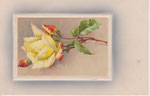 M&B 1594 1 rose jaune-rouge, 2 boutons jaune-rouge, en cadre rectangulaire bordé blanc