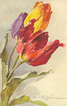 STZF 1113 [3 tulipes rouge, jaune et bleue]