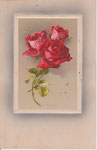 M&B 1593 3 roses rouges en cadre rectangulaire bordé blanc