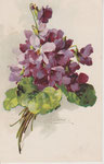 DIV - Woolstone 3157 Bouquet de violettes, feuilles en bas