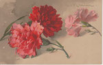 M&B 1832 1 œillet rouge foncé, 1 rouge pâle, 1 rose, 1 bouton vert