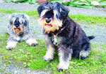 Kira und Hexi