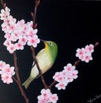 200×200mm　桜と小鳥