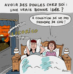Poules chez soi !
