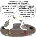 Goélands vs Mouettes