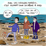 Grandes marées !