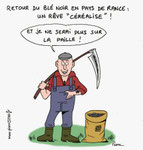 Retour du blé noir en pays de Rance ! 