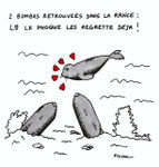 2 Bombes retrouvées dans la Rance ! 