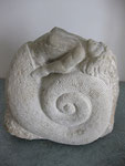 "Ammonite" - vendue