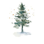 Liebe Kunden  wegen  unerwarteter Umbauarbeiten bleibt der Laden diese Woche  27.10.2025 bis 2.11.2025 geschlossen 