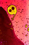 ji7