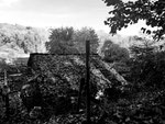 Fotografie "Tarnung"