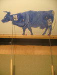 BLUE COW COMPLETE!!