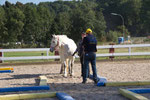 Mossie scheint noch nicht so interessiert?