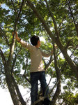木登りもできます。