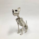ハロウィン186　ガイコツDOG　　210H  　￥900