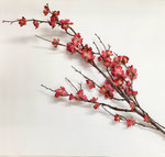 造花659　梅　赤ロング　1000H 