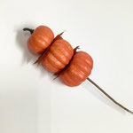 ハロウィン139　かぼちゃピックオレンジ　250H 　￥400
