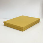 BOX 151 　クラフト角黄色　250×335×45H 　￥400