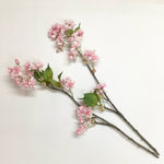 造花661　八重桜2P　500H 