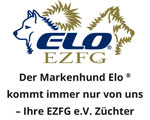 Drücken sie auf den Link