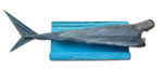 Hai, 77 x 26 cm, Holz