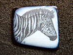 Scrimshaw Zebra nach 23 Std. auf antikem Elfenbein/schwarzes Horn( jetzt auf  Acrylbild )