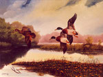 Herbstlandschaft mit Enten
