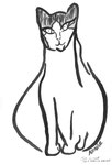 Asmine. Ink on paper, 29, 7 x 42cm, Rome, Italy, 2007.