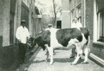 Jan Wiersma. Dhr Pan & Tjalling Plekker (slagerij Bos)