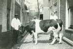 Jan Wiersma. Dhr Pan & Tjalling Plekker (slagerij Bos)