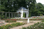 Rosengarten im Bürgerpark