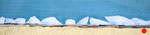 La côte d'albâtre (64 x 15 cm) ; marqueterie contemporaine . VENDU