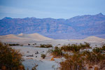 ....the only real sand desert in Death Valley