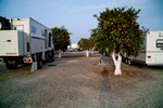 Our place in an orange orchard