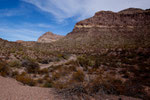 Ajo Range - Vulkangebirge