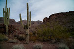 Ajo Range