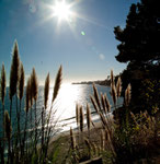 New Brighton State Beach