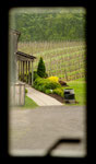 Weingut in Beamsville - Blick aus unserem "Bungalow"