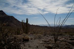 Ajo Range