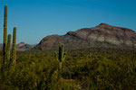 Saguaros und bizarre Bergformationen