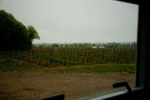 Weingut in Beamsville - Blick aus unserem "Bungalow"