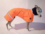 Windhund Whippet Winter/Regenmantel