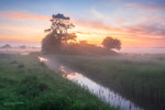 Morning Light