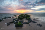 Stepping Stone