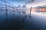 The Fence II