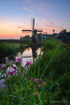 Colorful Zaanse Schans