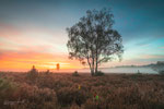 Awakenings
